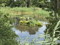 Radtour Oder Ostsee-112